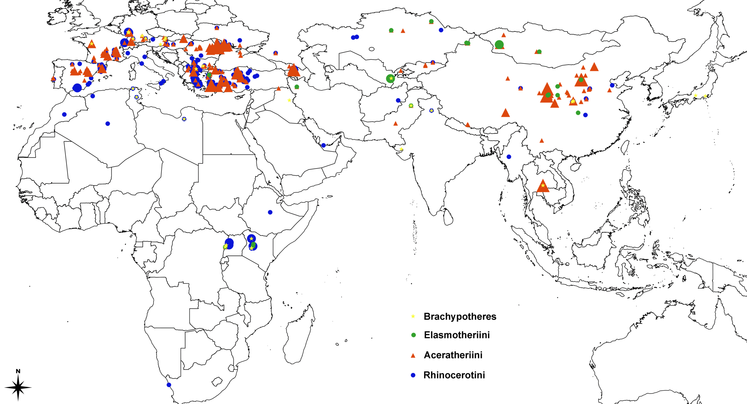 Late Miocene distribution map: Brachypotheres, Elasmotheres, Aceratheres, and Rhinocerotines