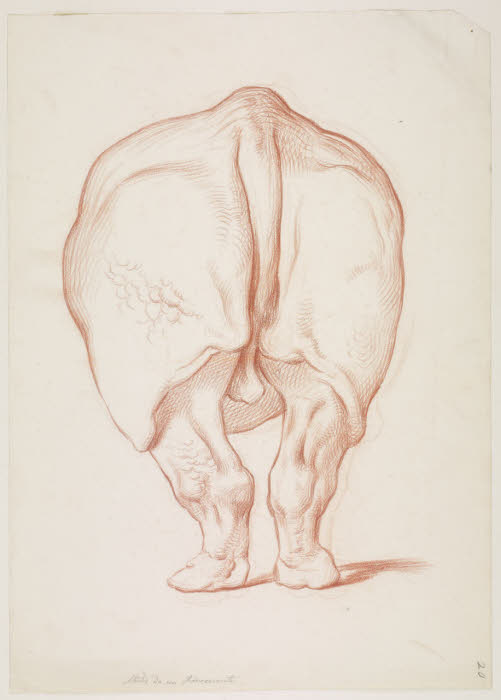 Sabatelli 1849 from behind