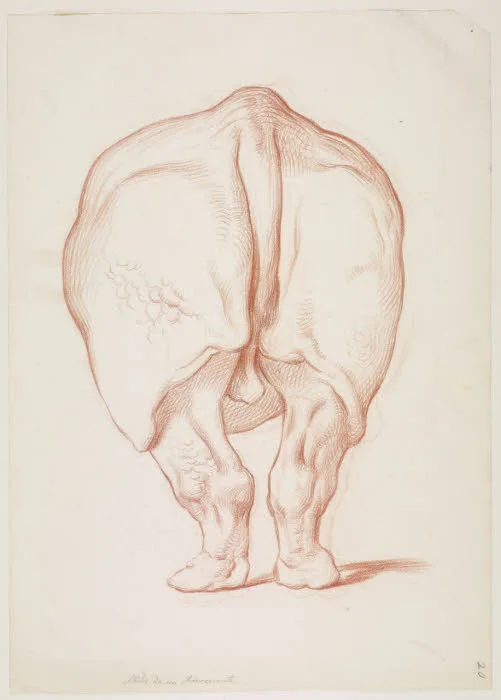 Sabatelli 1849 from behind