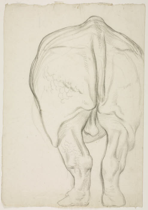 Sabatelli 1849 sketch