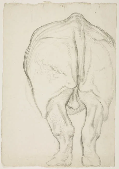 Sabatelli 1849 sketch
