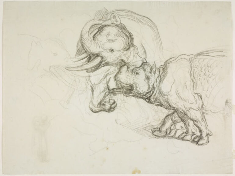 Sabatelli rhino and elephant