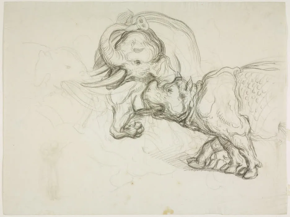Sabatelli rhino and elephant