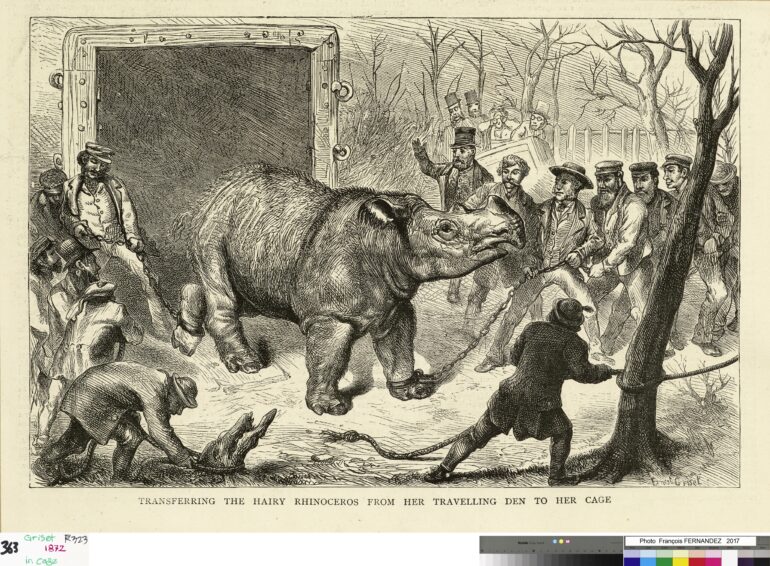 Begum 1872 arriving London