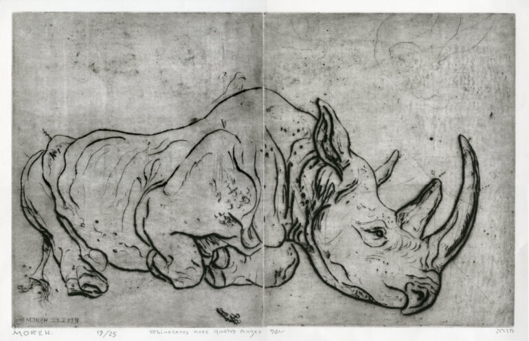 Mordeth 1991 black rhino