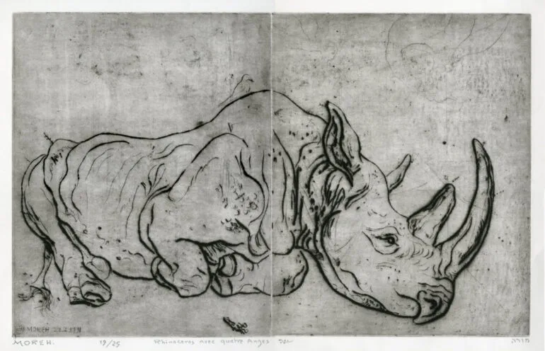 Mordeth 1991 black rhino