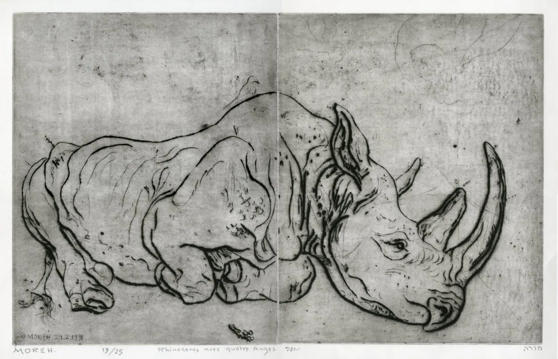 Mordeth 1991 black rhino