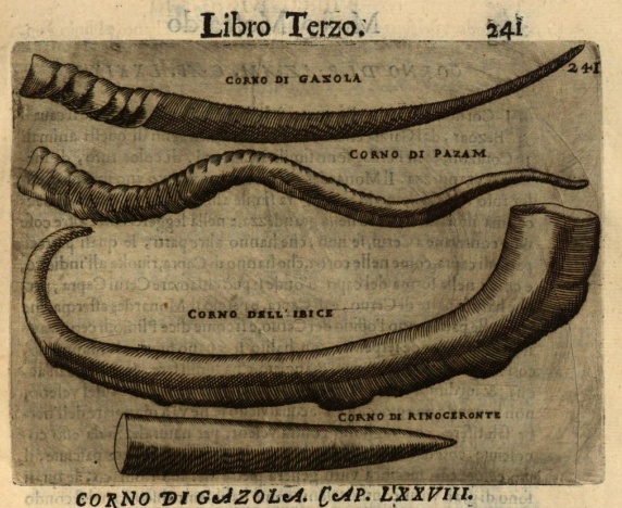 Moscardo 1656 Museum