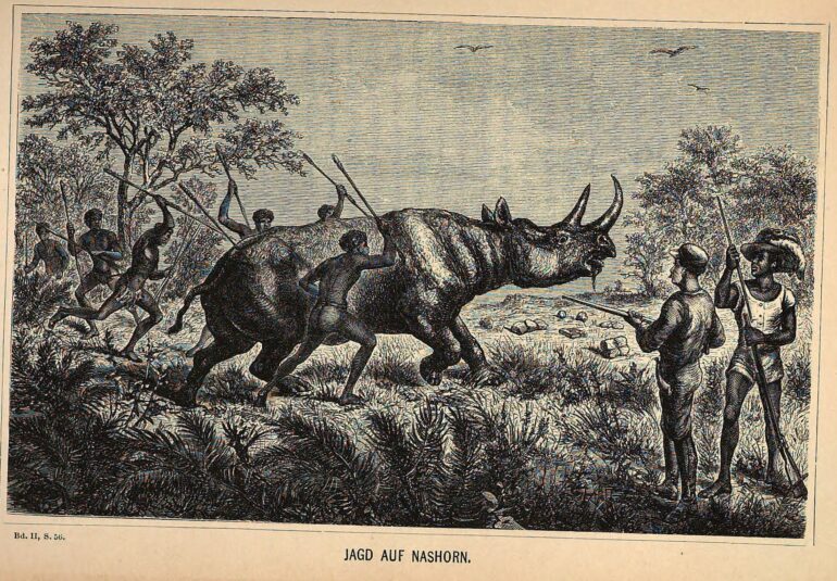 Mohr 1875 Jagd auf Nashorn
