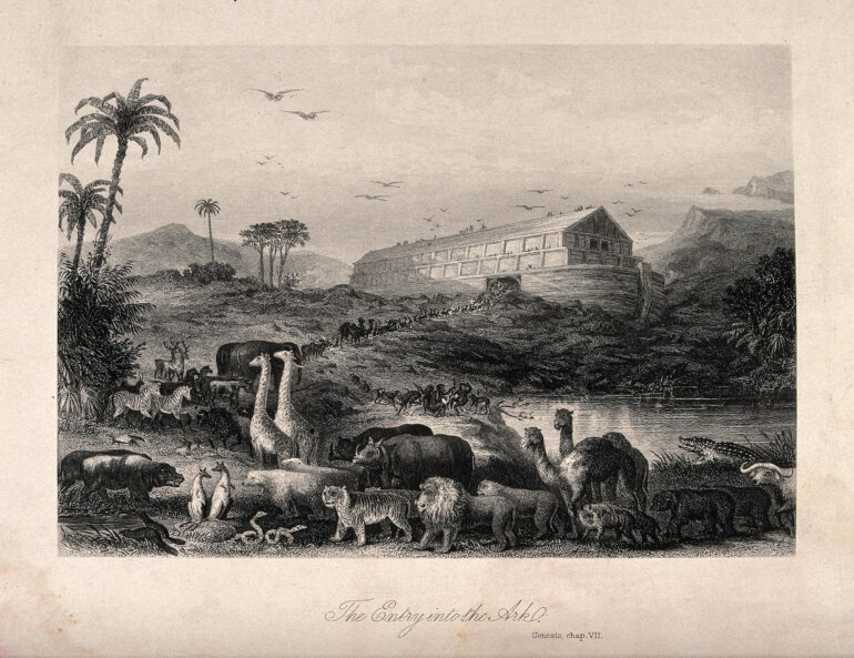 Brown Self Interpreting Family Bible