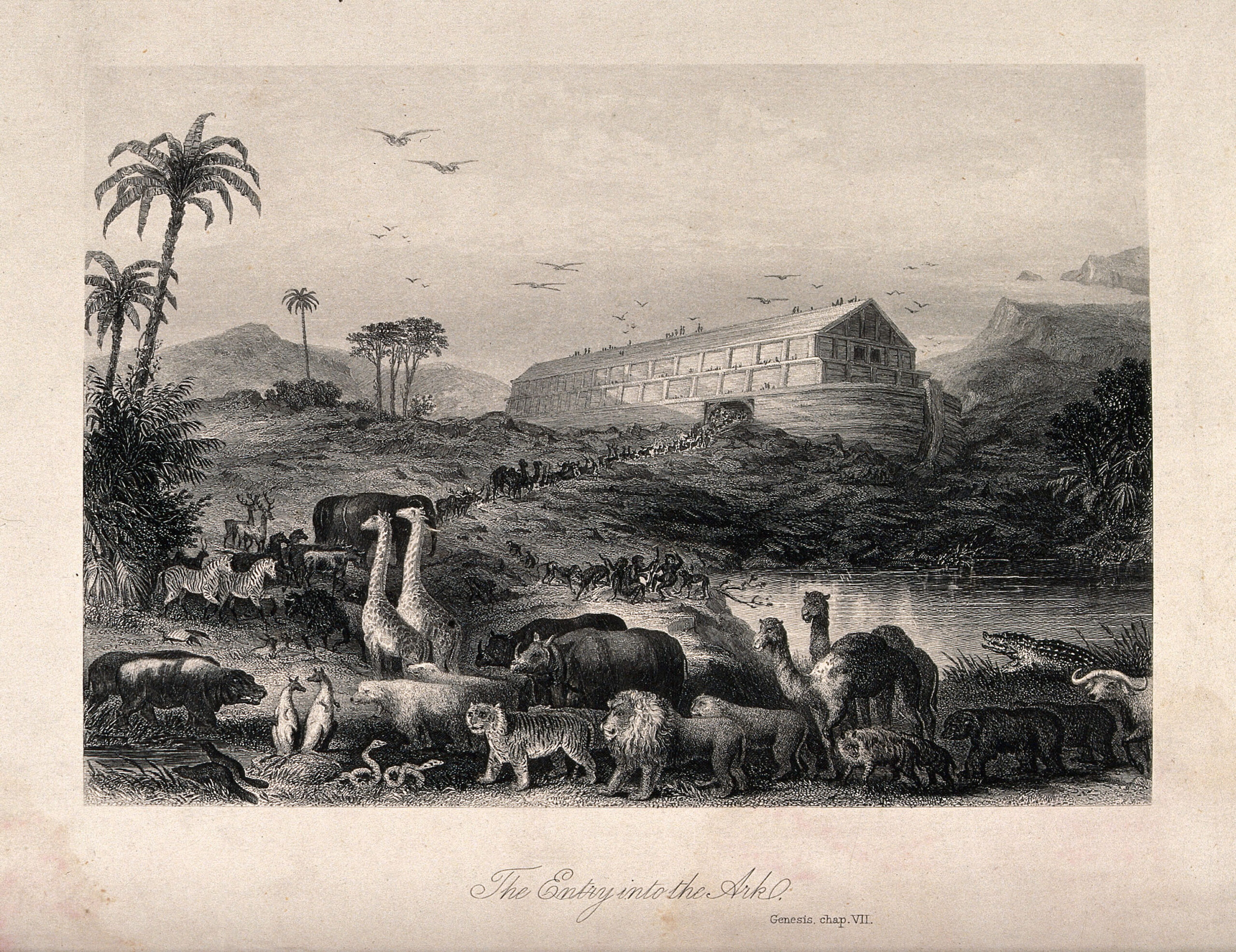 Brown Self Interpreting Family Bible