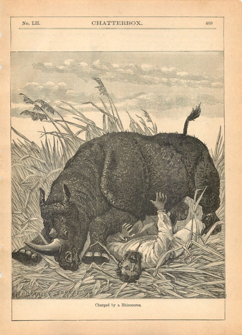 Charged by a Rhinoceros