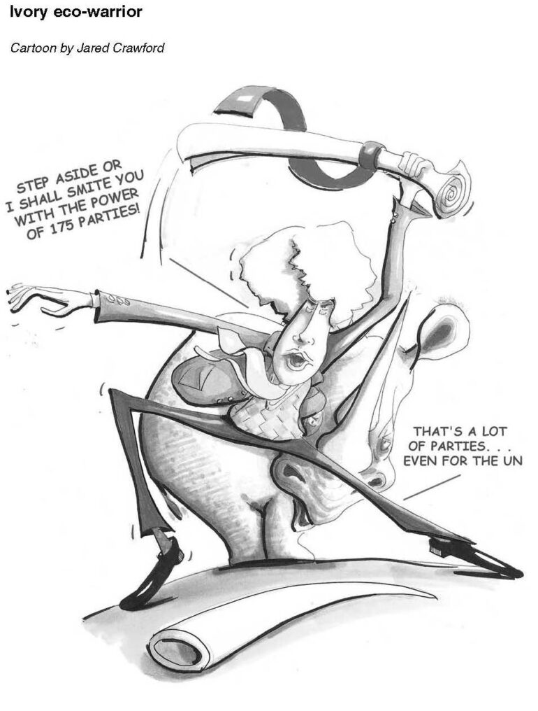 Ivory eco-warrior 2011