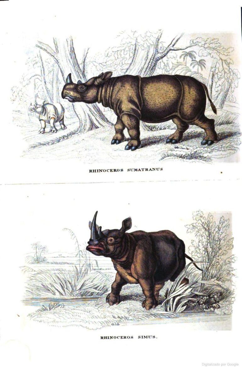 Treitschke 1841 Bildersaal