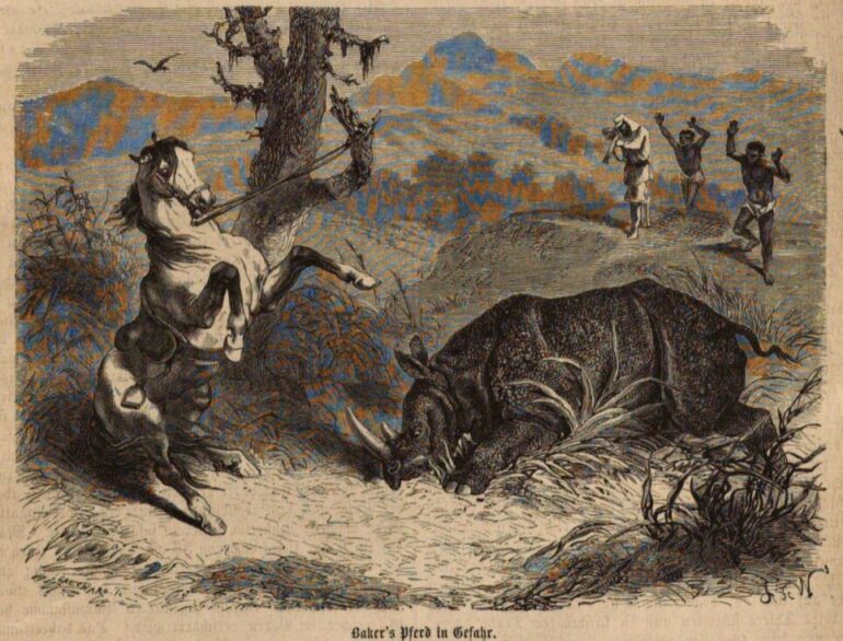 Delitsch 1871 attack