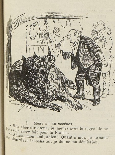 Bertall 1874 rhino dies