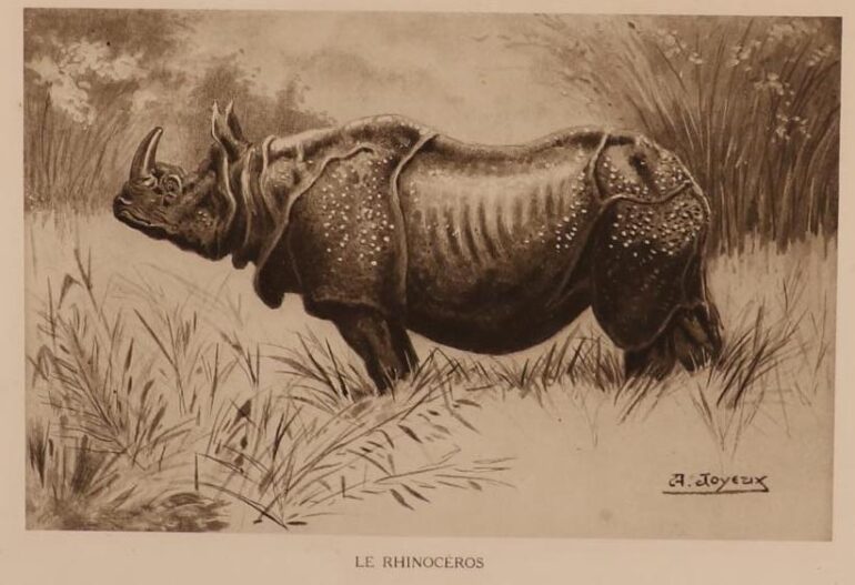 Bordeneuve 1925 Indochine