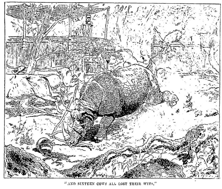 Wood 1896 Pet rhinoceros