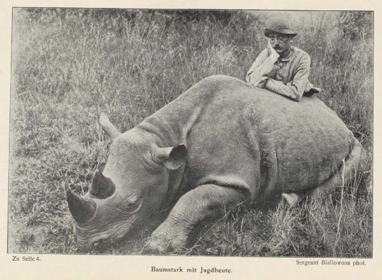 Brandis 1907 Baumstark