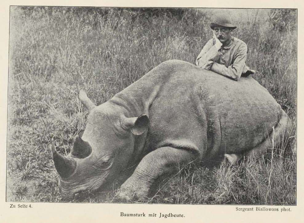 Brandis 1907 Baumstark