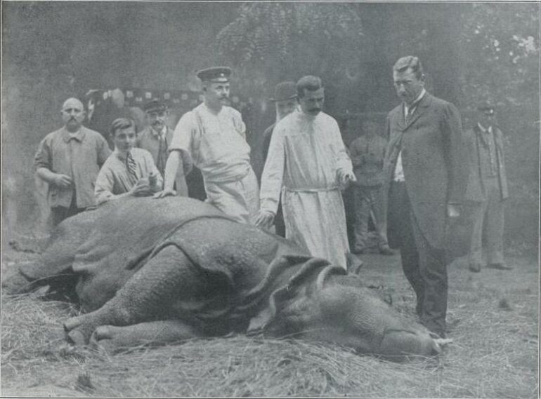 Frankfurt  Zoo 1909