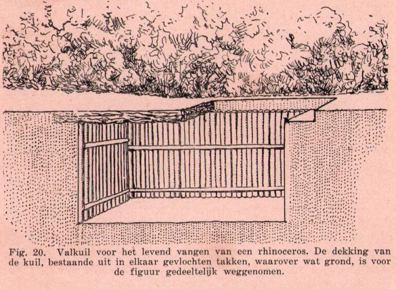 Impression of pit trap