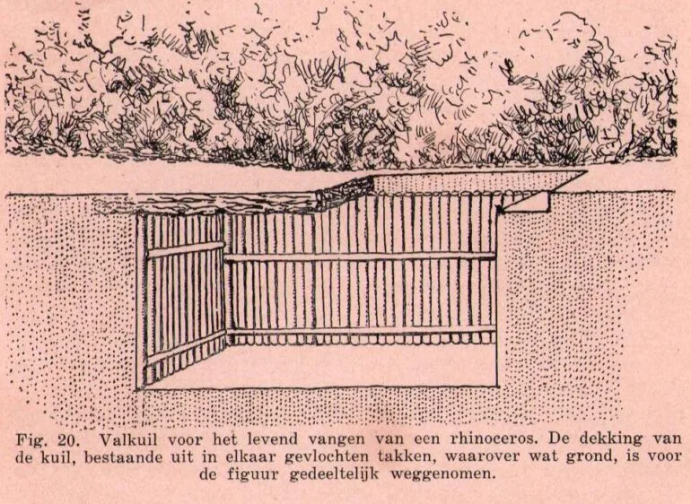 Impression of pit trap