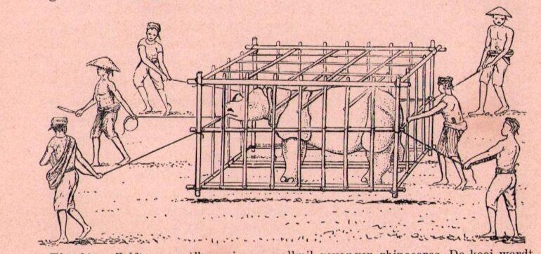 Rhino self transport