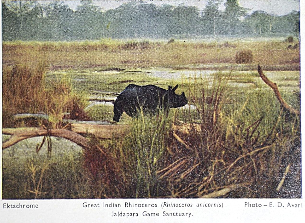 Avari 1957 Jaldapara