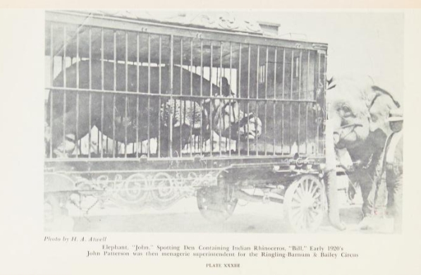 Bill 1920s Ringling Circus