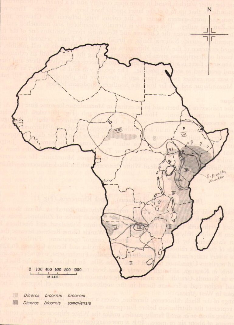 Range map for Diceros bicornis