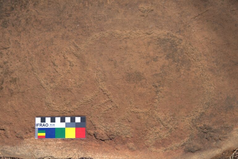 Petroglyph of rhino at Klerksdorp, South Africa
