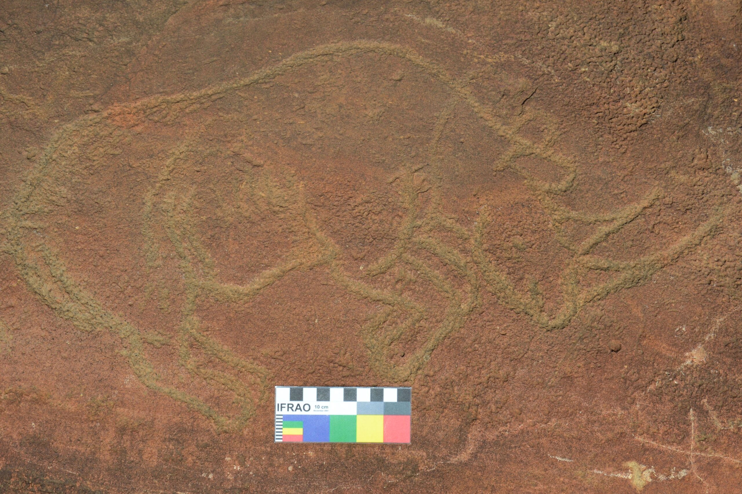 Petroglyph of two-horned rhino at Klerksdorp, South Africa