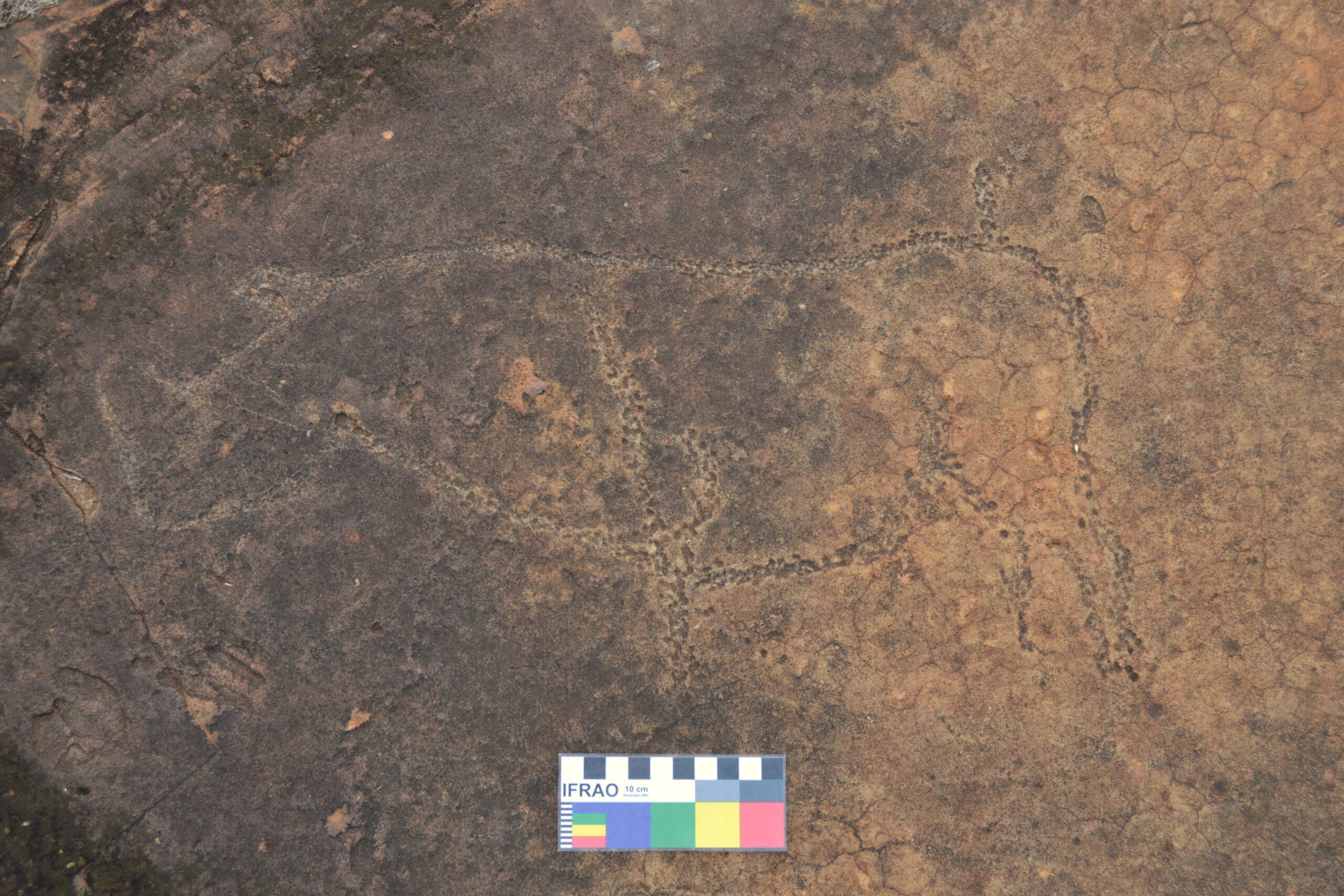 Petroglyph of rhino near Klerksdorp, South Africa