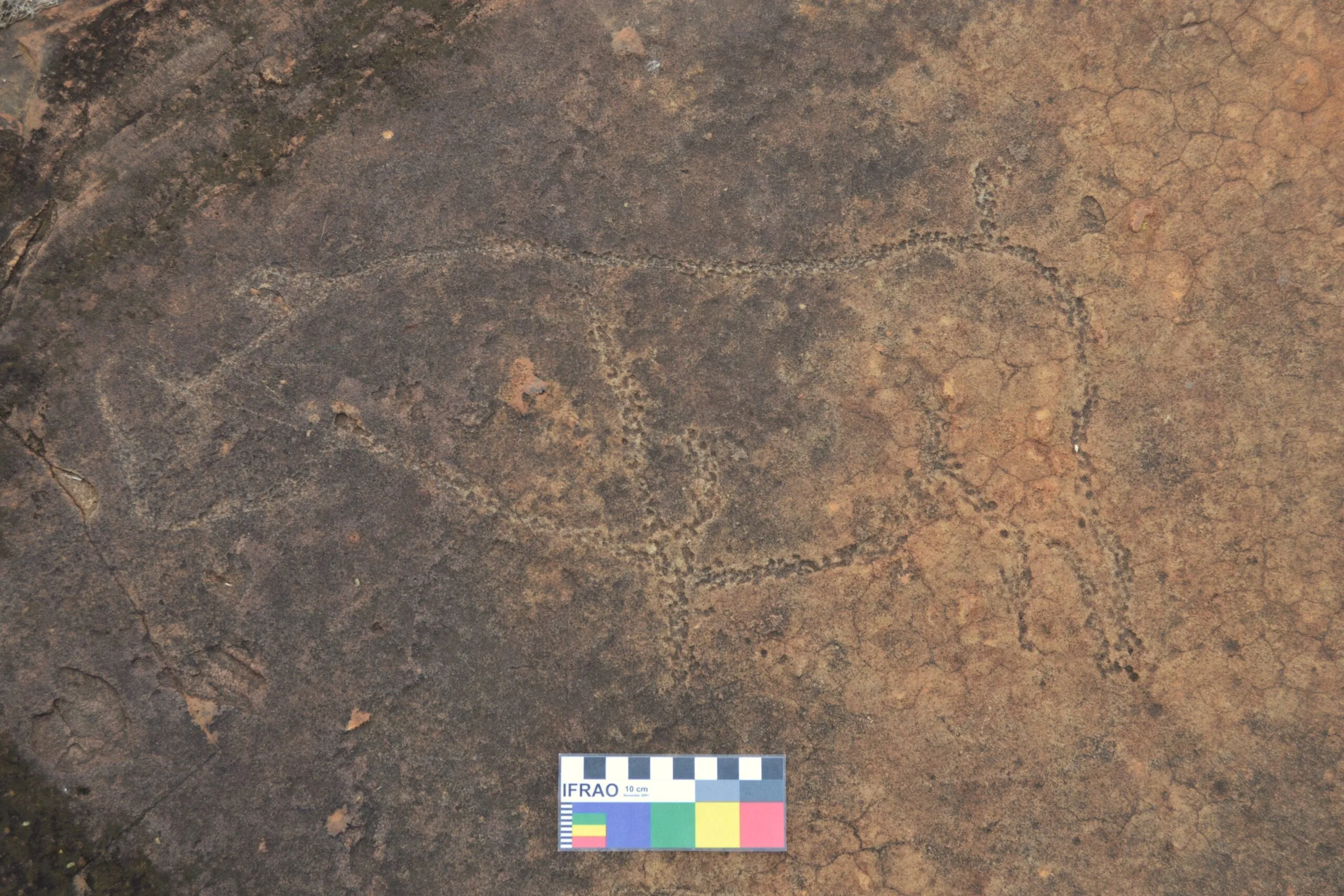 Petroglyph of rhino near Klerksdorp, South Africa