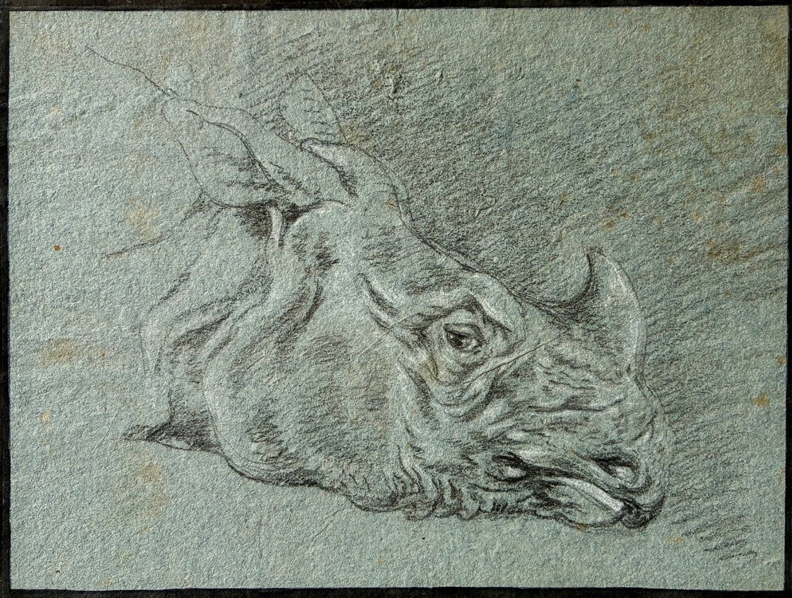 Ridinger: Clara’s head facing right