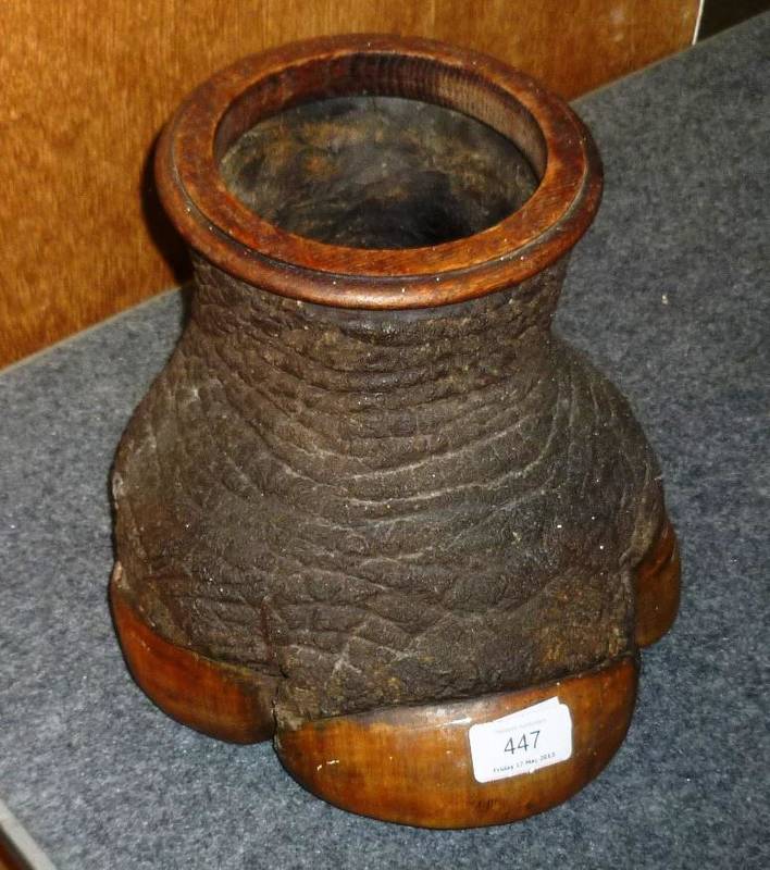 Rhino foot bottle stand