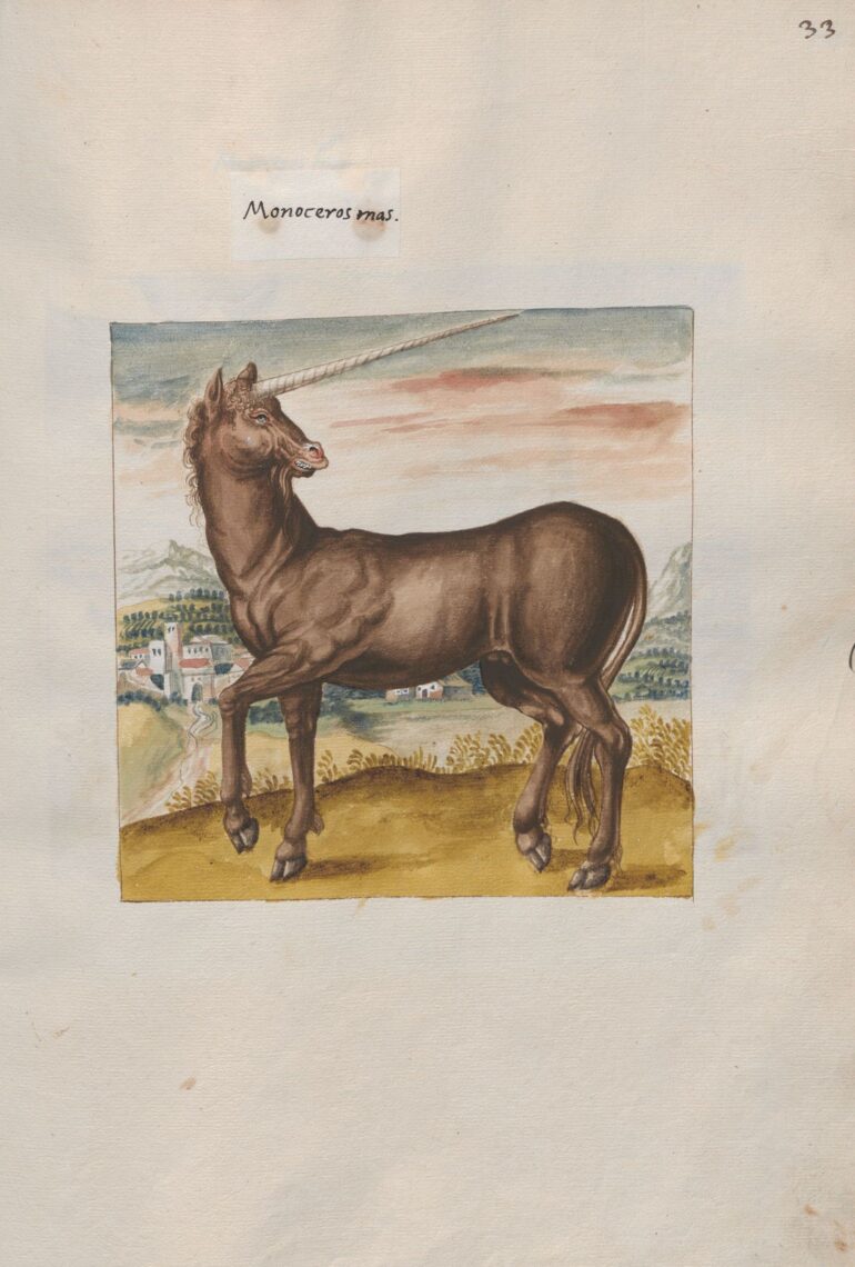 Codex Vindobonensis: male unicorn