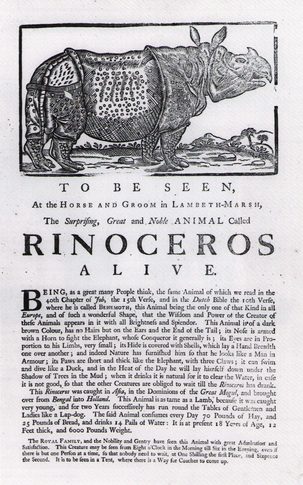 Horse and Groom London 1756