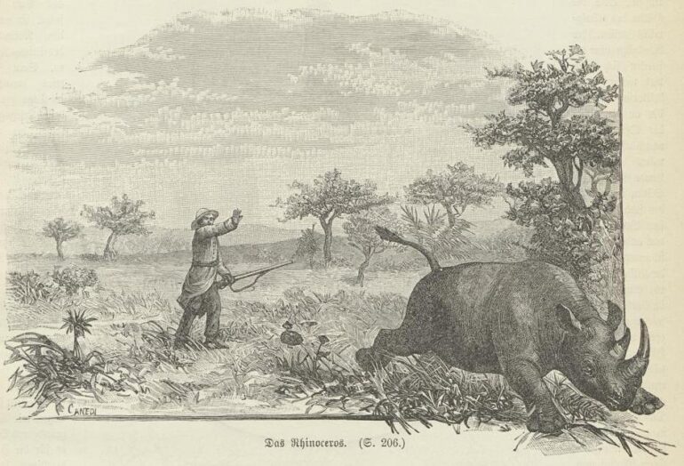 Spillmann 1897 African hunt
