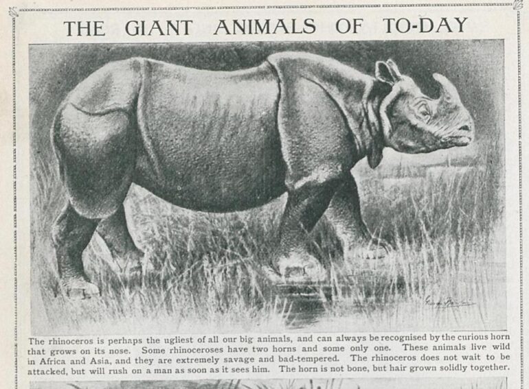 Giant Animals 1908