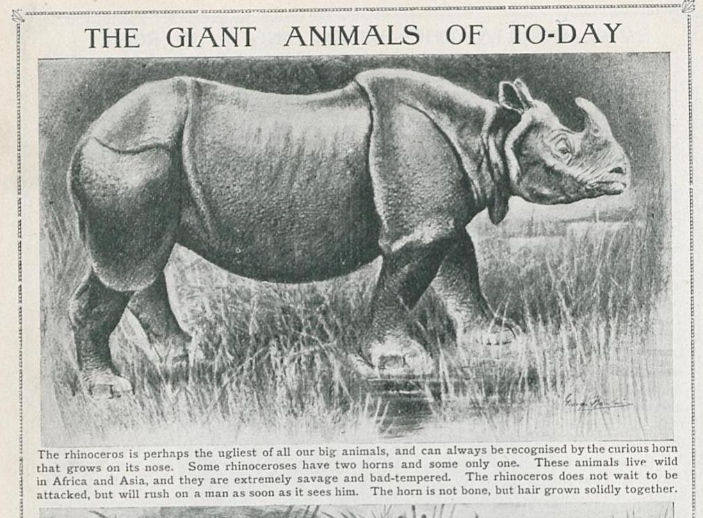 Giant Animals 1908