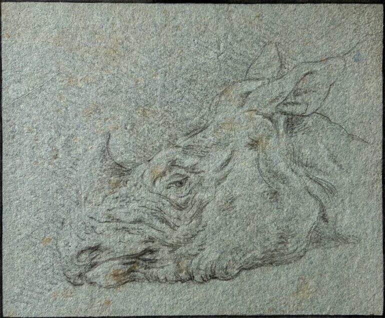 Ridinger Clara Antwerp 003 aa