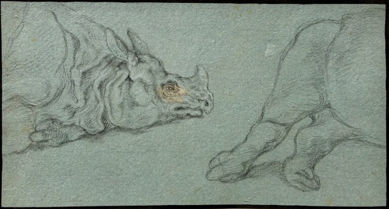 Ridinger Clara Antwerp 004 aa