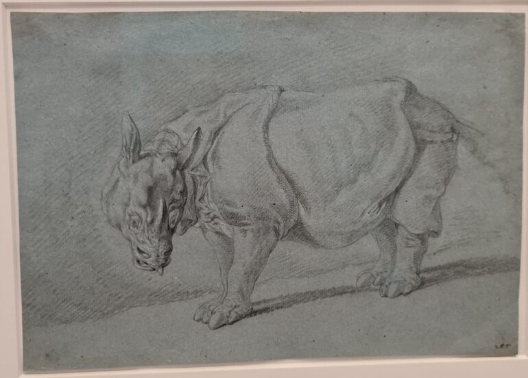 Ridinger Rijksmuseum exhibit 01