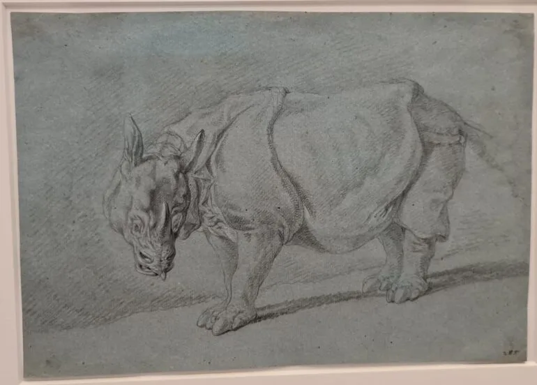 Ridinger Rijksmuseum exhibit 01