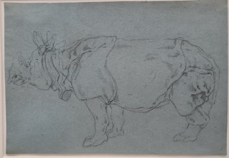 Ridinger Rijksmuseum exhibit 03