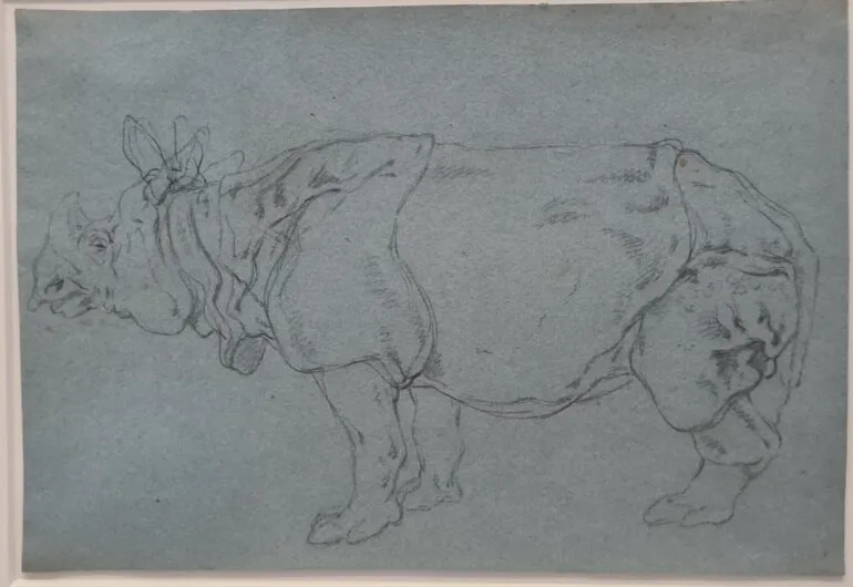 Ridinger Rijksmuseum exhibit 03