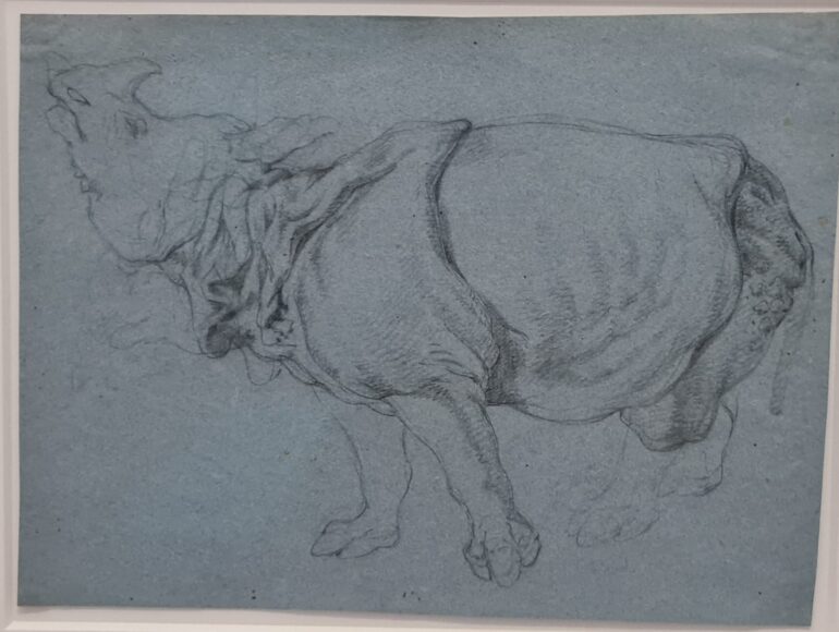 Ridinger Rijksmuseum exhibit 04