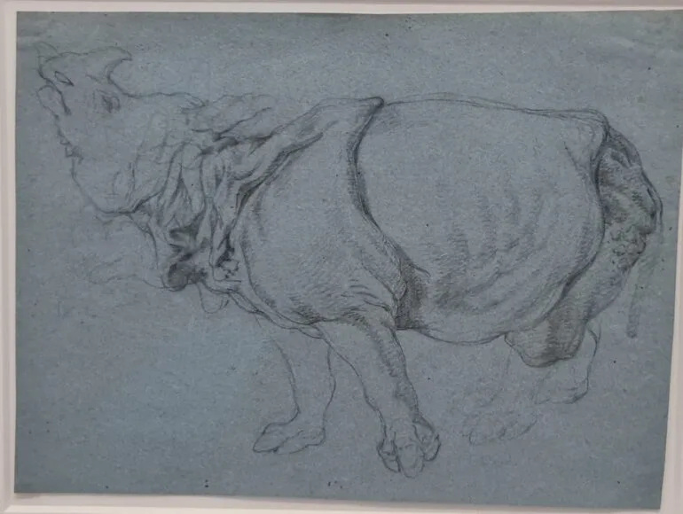 Ridinger Rijksmuseum exhibit 04